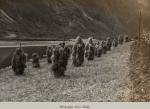 Vintage Photo Album of “Cruise No. 2 to ‘The Norwegian Fjords’  in June 1913 on the R.M.S.P. Arcadian”