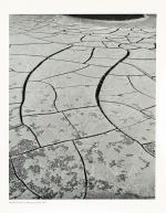 Philip Hyde / Bruce Berger, A Glen Canyon Portfolio [20 Vintage Photographs] / "There was a River"