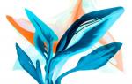 Brooke Palmer, Unfurling Heavenbound.